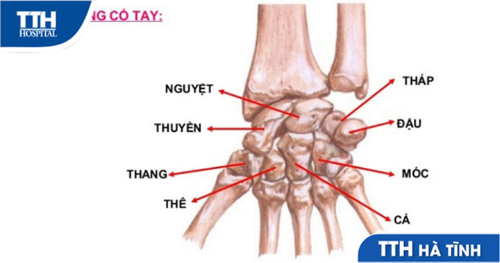 Các vấn đề phổ biến về cổ tay