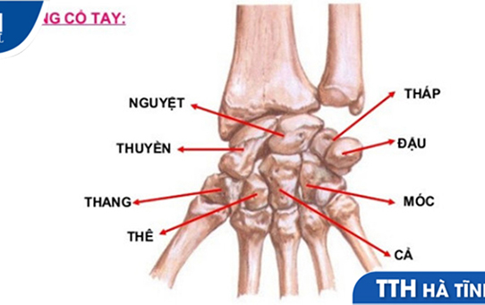 CHẤN THƯƠNG VÙNG CỔ TAY -  DỄ BỎ SÓT TỔN THƯƠNG