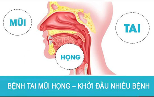 Có thể bạn chưa biết :  Bệnh tai mũi họng - Khởi đầu của nhiều bệnh